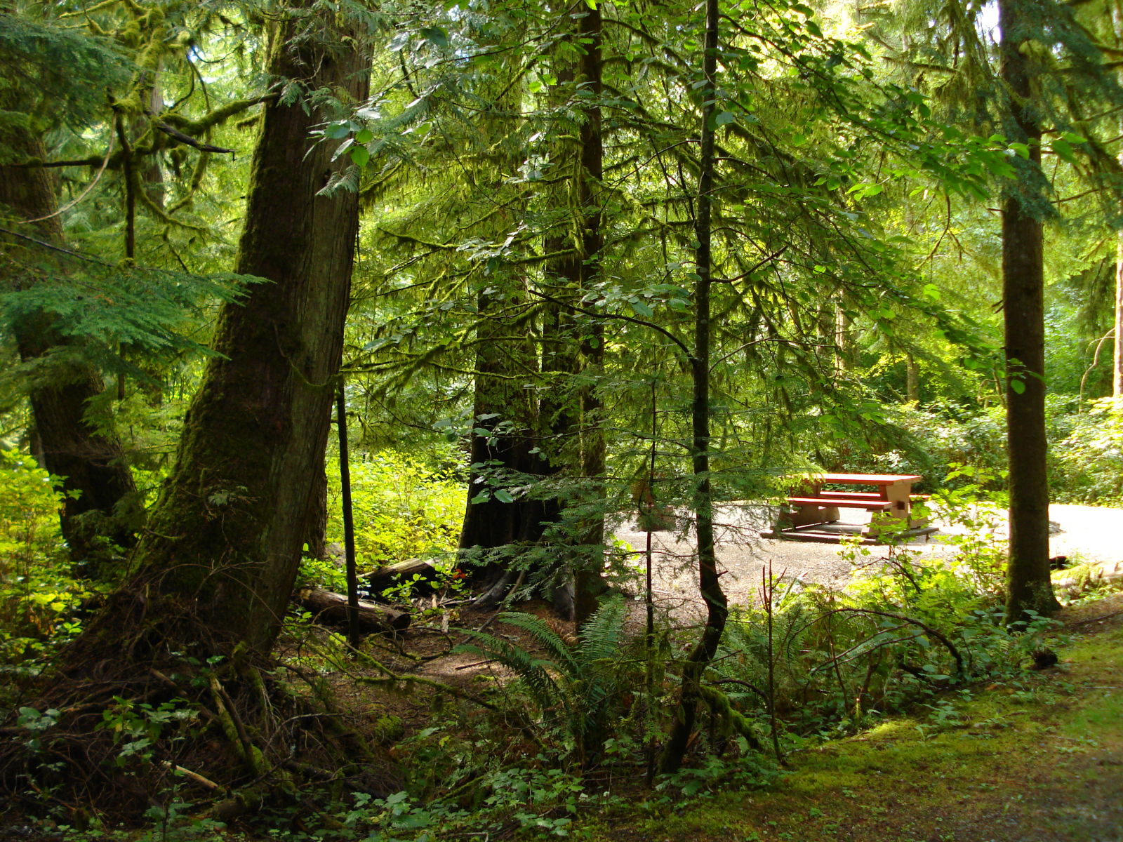 Goldstream Go Camping BC