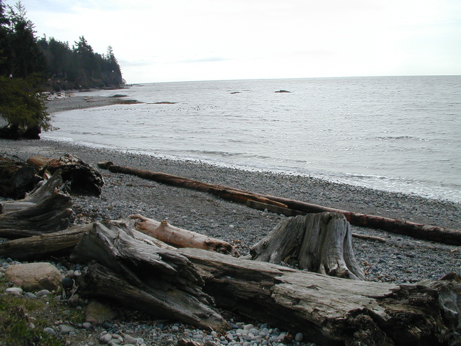 Roberts Creek Go Camping BC