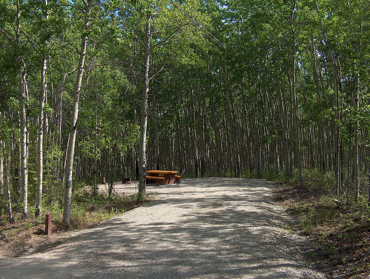 Charlie Lake Go Camping BC