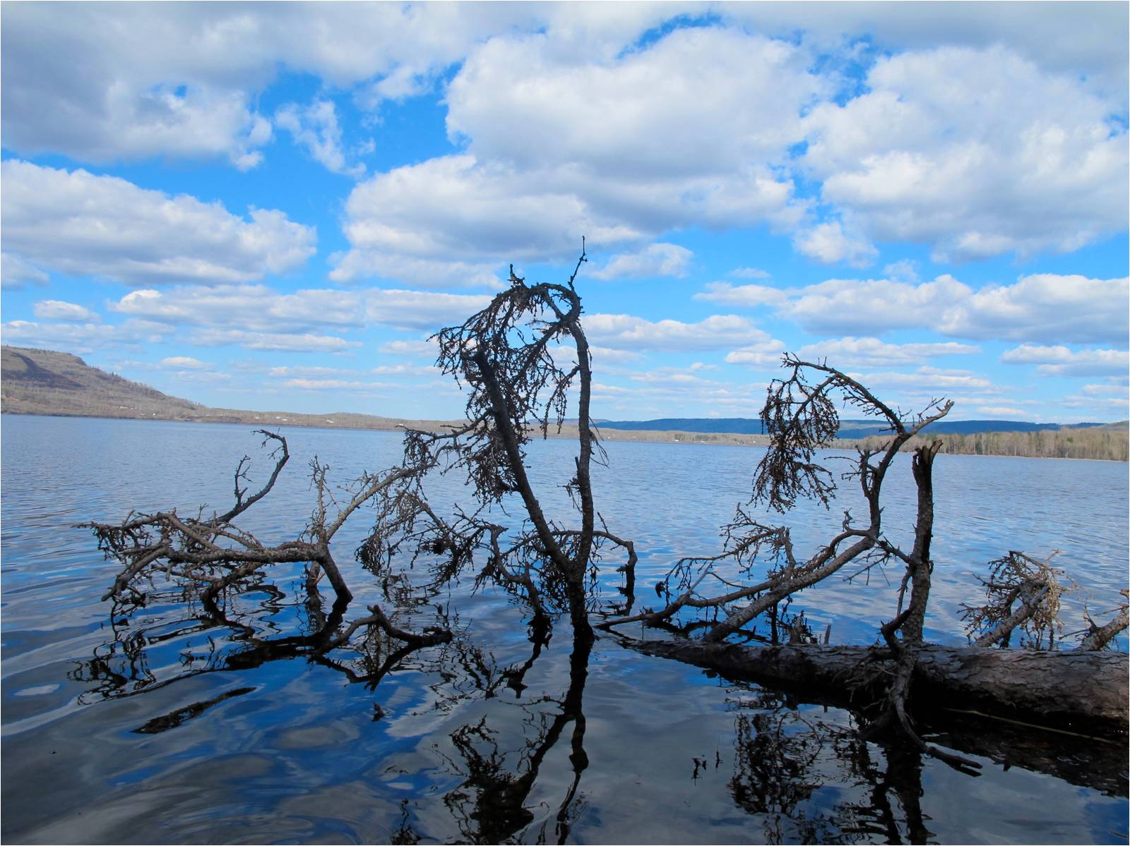 Moberly Lake Go Camping BC