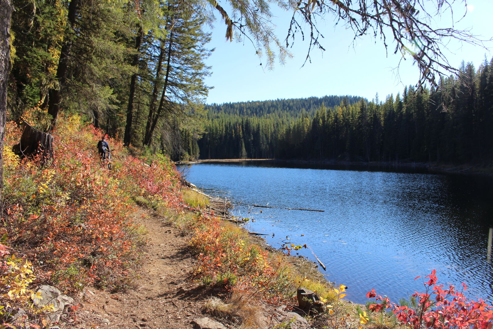 Champion Lakes Go Camping BC