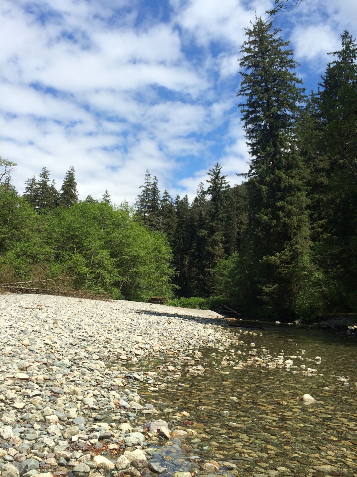 Carmanah Walbran Go Camping BC