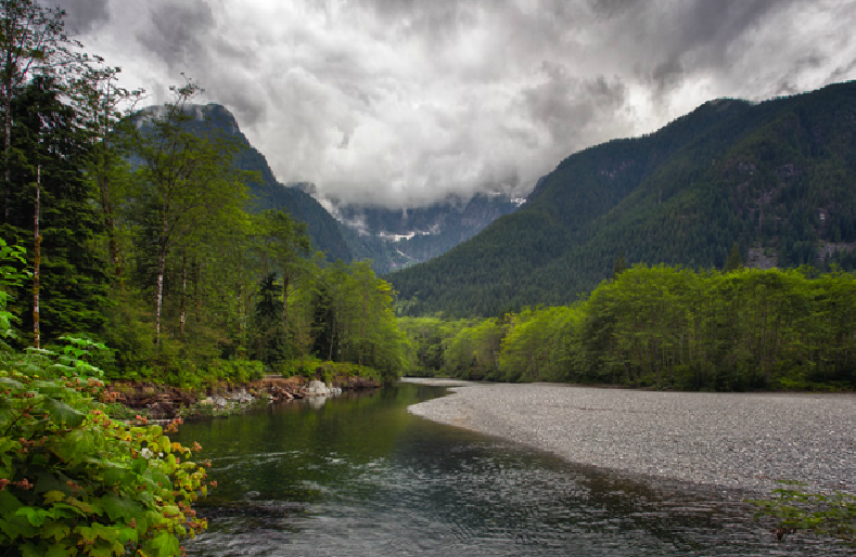 Golden Ears Go Camping BC