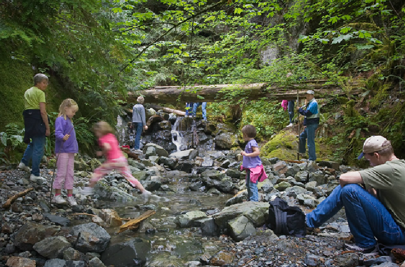 Golden Ears Go Camping BC