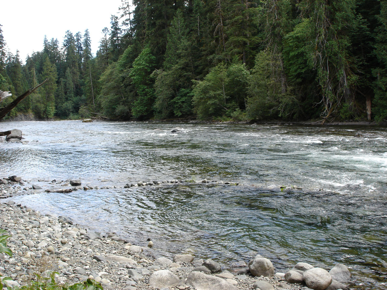 Stamp River Go Camping BC